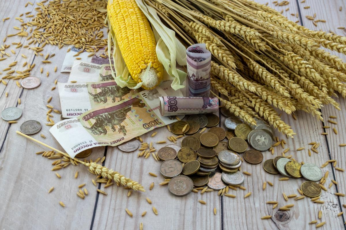 В течение 2025 года удалось увеличить господдержку АПК на 133 млрд руб. — Минсельхоз 