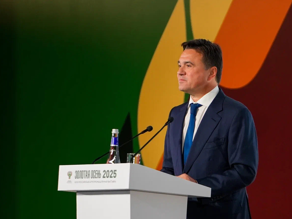 Фото: пресс-служба губернатора и правительства Московской области/Александра Степанова