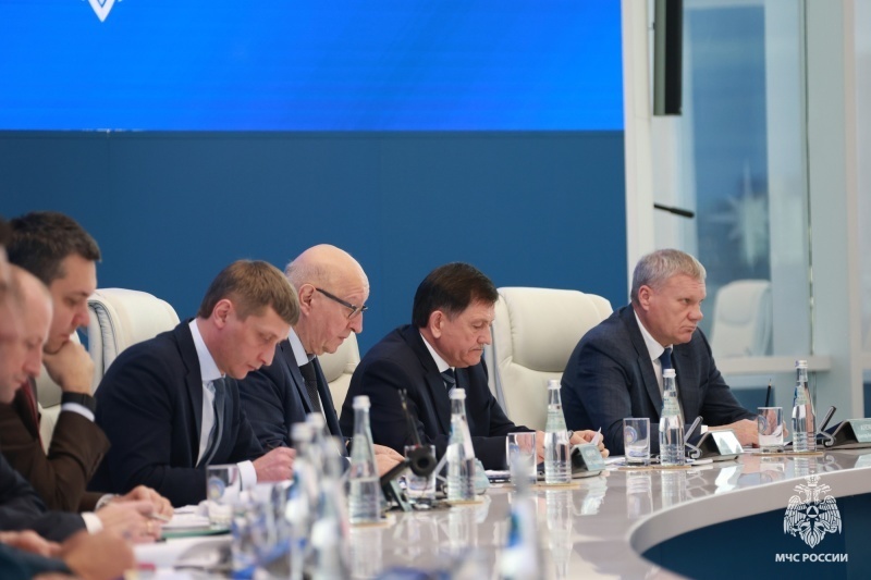 МЧС России и Минприроды поддерживают создание 100-метровых противопожарных полос между зданиями и лесными насаждениями