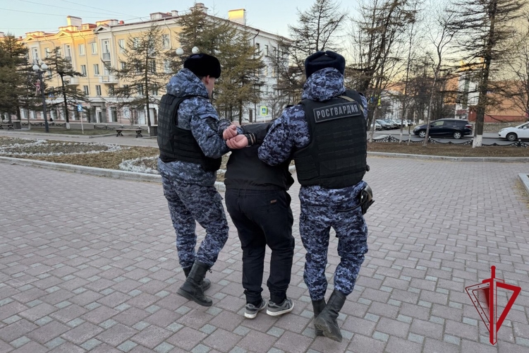 Колымчанина осудили за применение насилия и оскорбление сотрудника Росгвардии