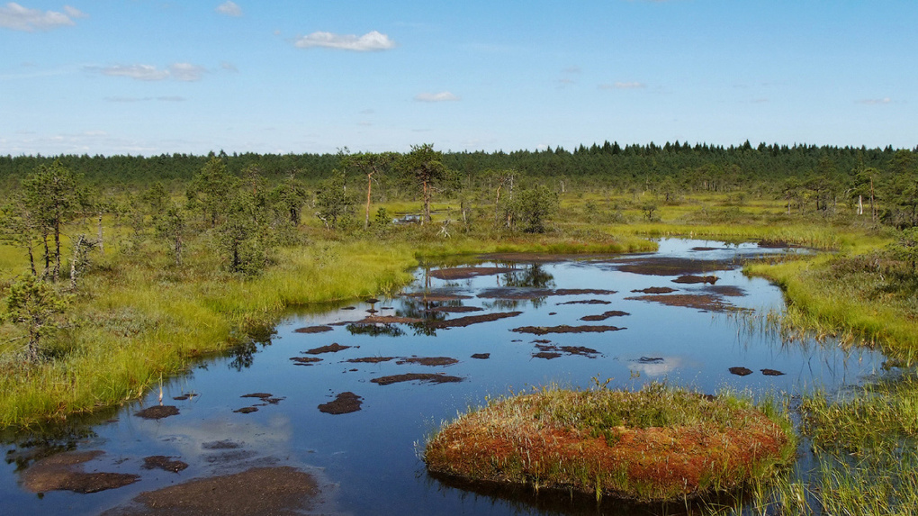 Водно болотные угодья