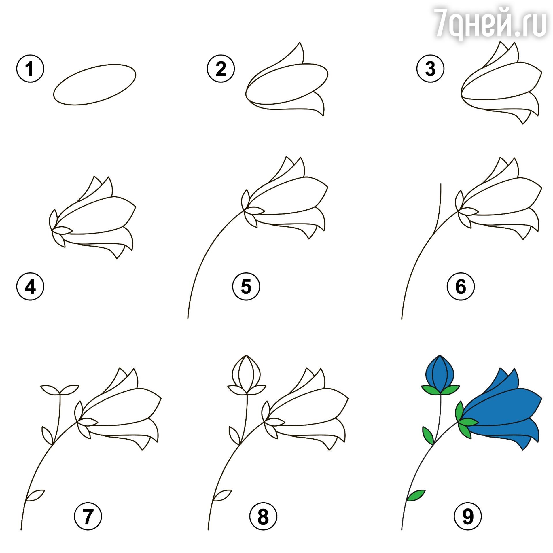 Рисовать цветы поэтапно