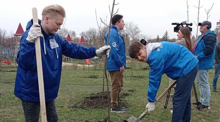 В 2022 году Белгородская область стала первой по ЦФО в акции «Сохраним лес»