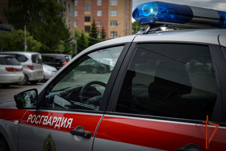 Росгвардейцы задержали подозреваемого в совершении грабежа на АЗС Черногорска