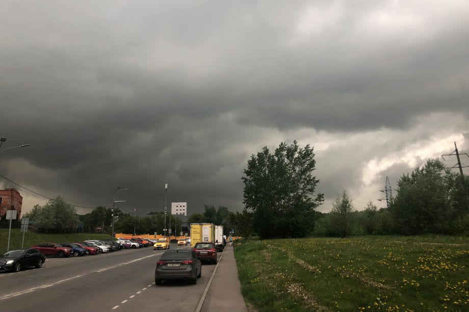 Фото: PRIMPRESS | Когда наступит астрономическое лето: названы точная дата и время