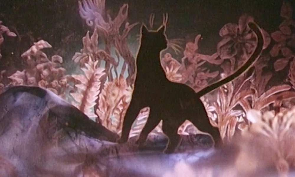 «Кошка, которая гуляла сама по себе»