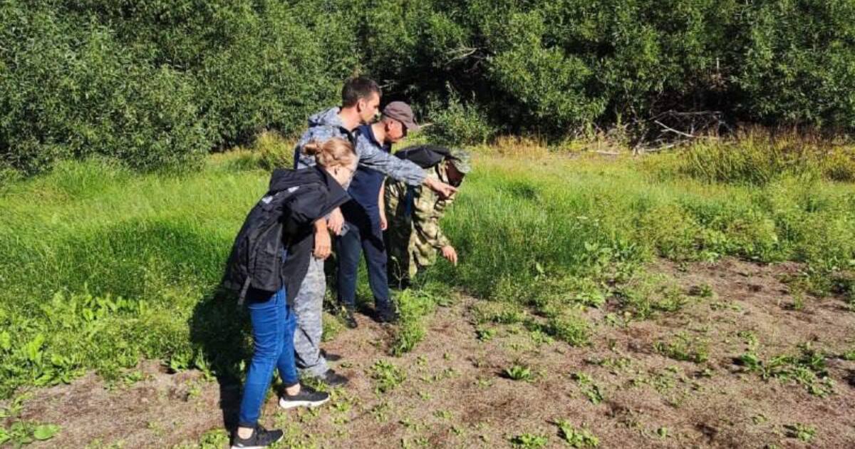 На 14 дней бугуруслан. 14 Летний мальчик. 15 Летний мальчик. 3 Летний мальчик. Найди на территории.