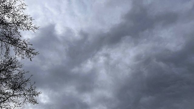 Фото: телеканал «Краснодар»