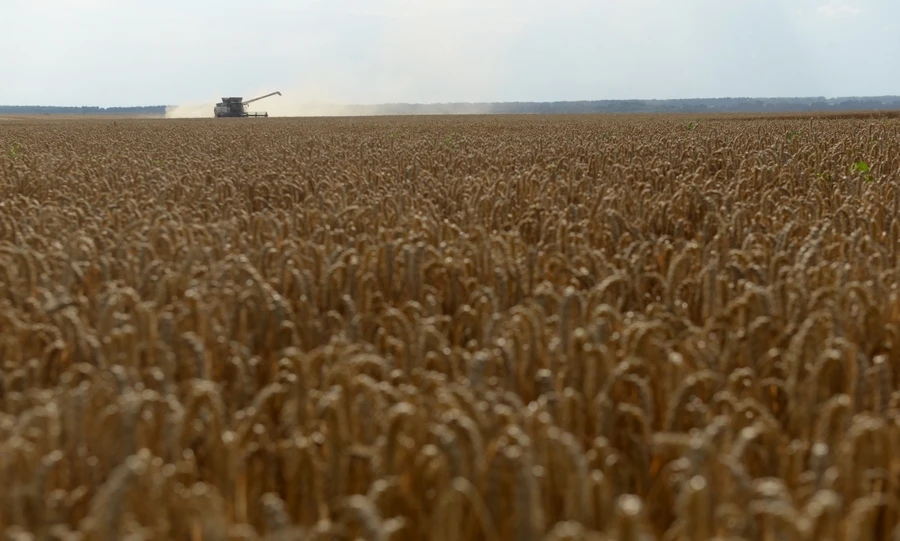 Орловские земледельцы намолотили более четырёх миллионов тонн семян зерновых, зернобобовых и масличных культур