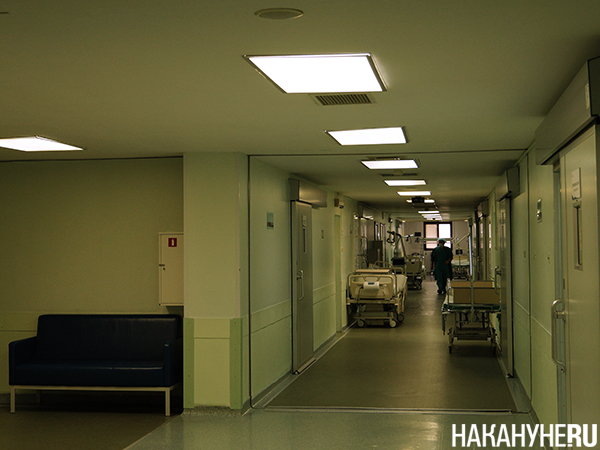 Фото: Накануне.RU