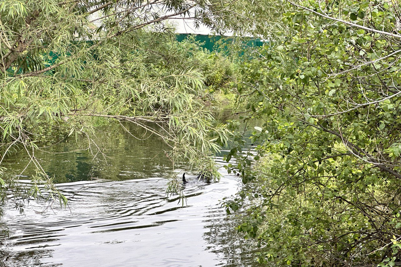 тулун река ия