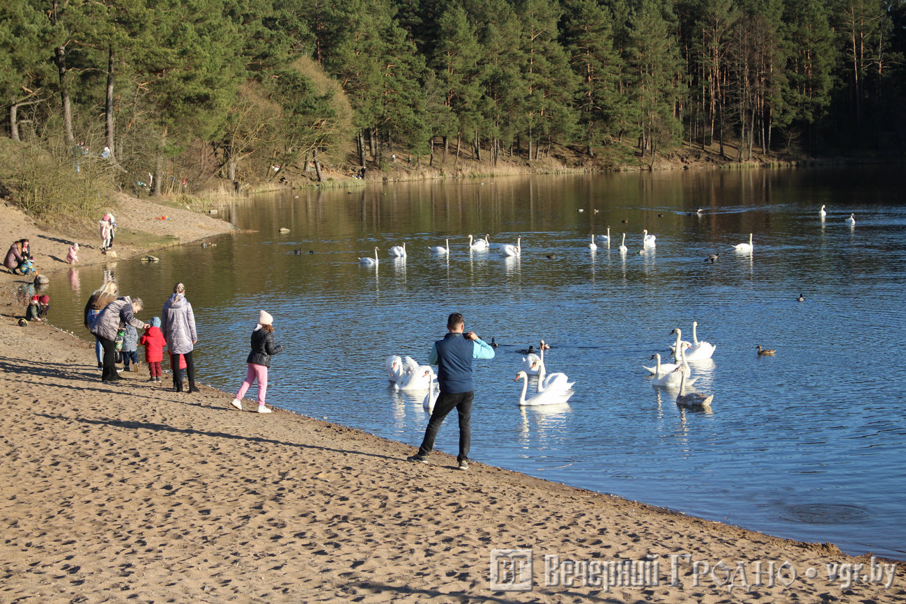 юбилейное озеро гродно