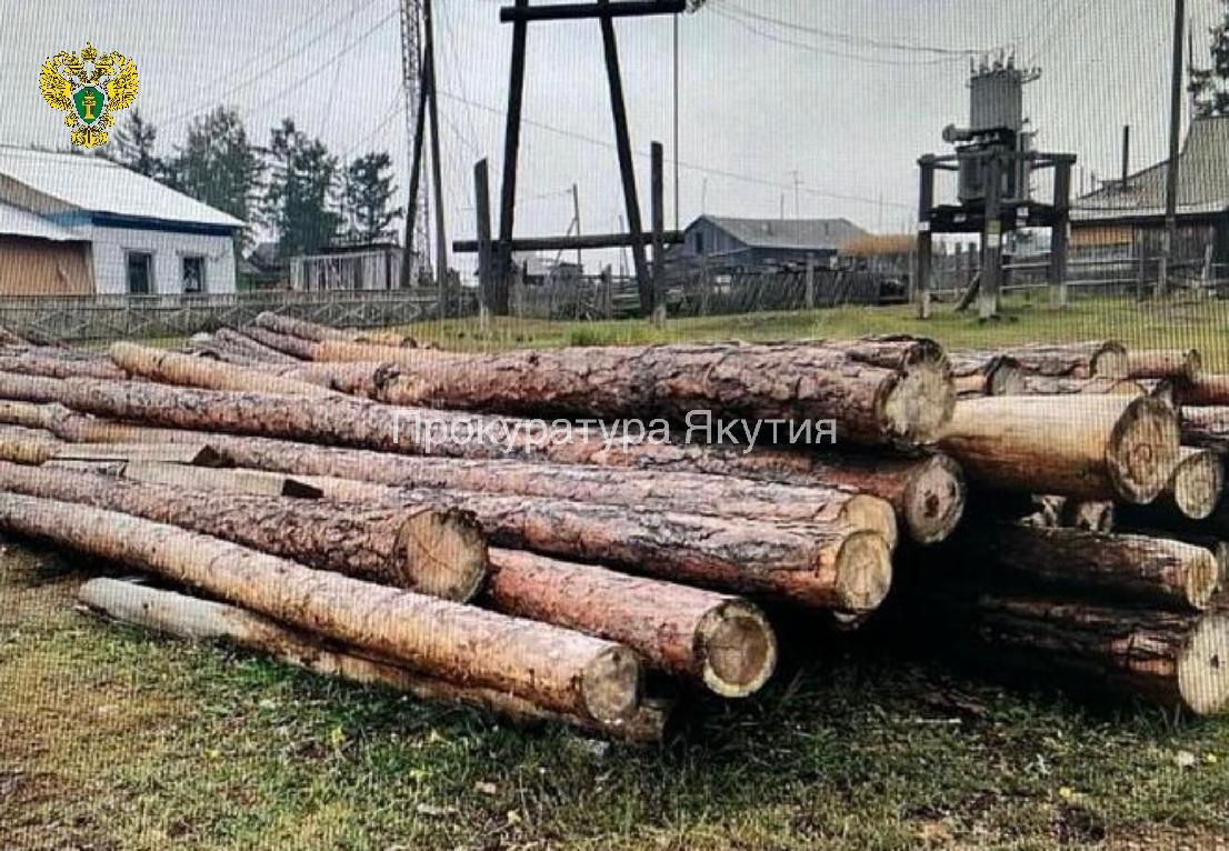 Бывший начальник Нюрбинского лесничества осужден за незаконную рубку леса