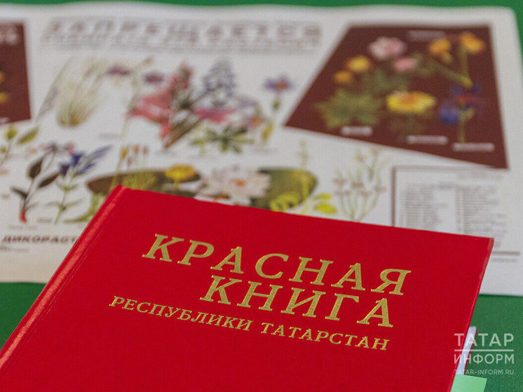 В Красную книгу Татарстана внесут новые виды растений и грибов