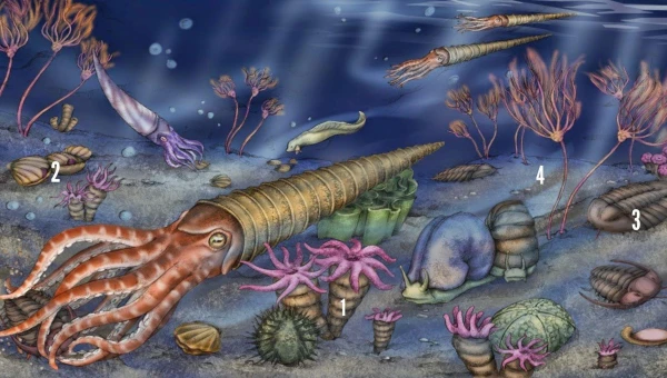 Current Biology: Морские существа взбалтывали воду и стимулировали эволюцию