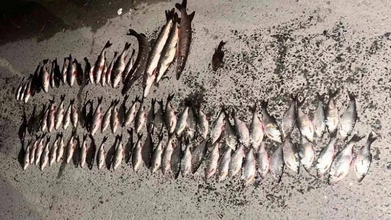 Ловили рыбу сетями: браконьеров задержали в Челябинской области