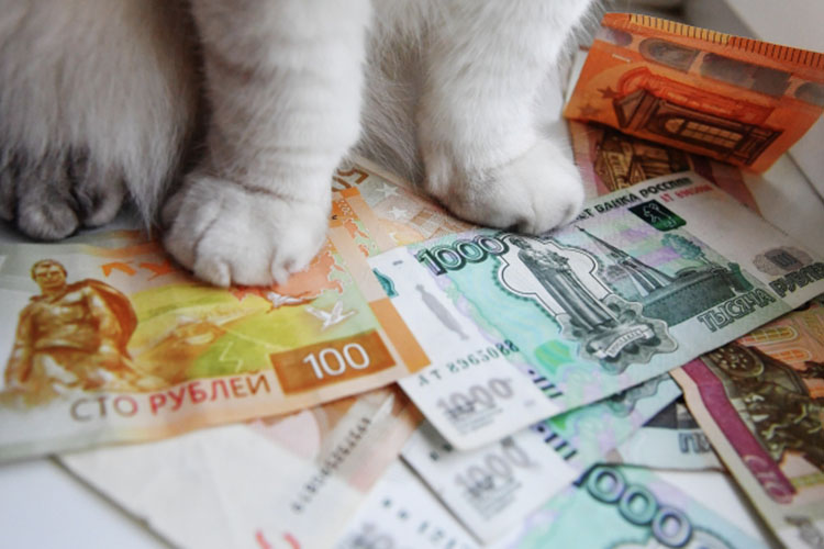 165 млрд рублей кредитов регионам уже списали, до конца года — еще 50 миллиардов