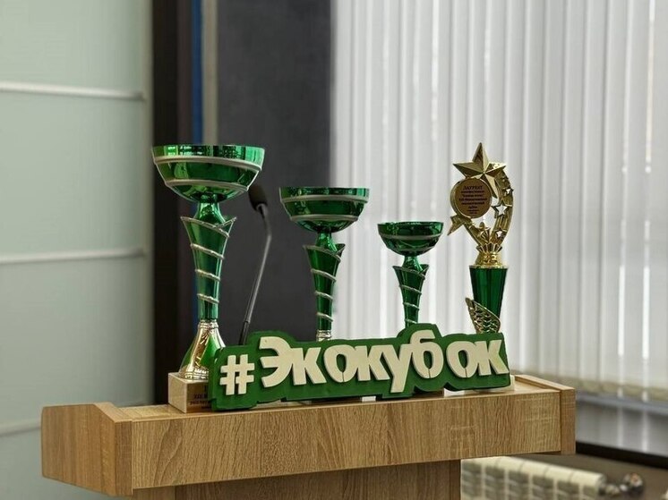 В Новосибирске определили лучшие экологические проекты для озера Чаны