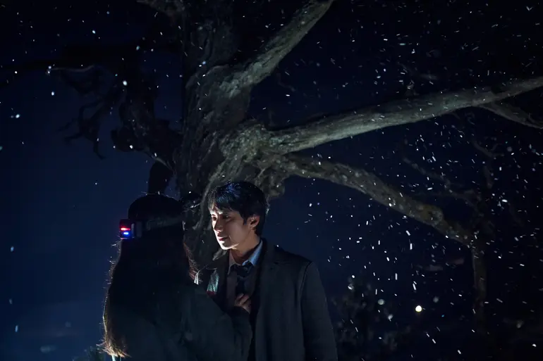 «Бугония» или «Решение уйти»: 5 простых фильмов сложных режиссеров