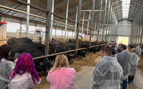 Туристический потенциал Ставрополя
