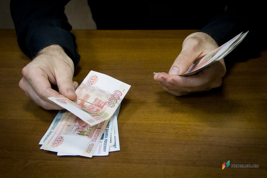 Блеск и ущербность нового кошелька эсеров