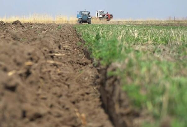 В госфонд РК возвращено 12,1 млн га