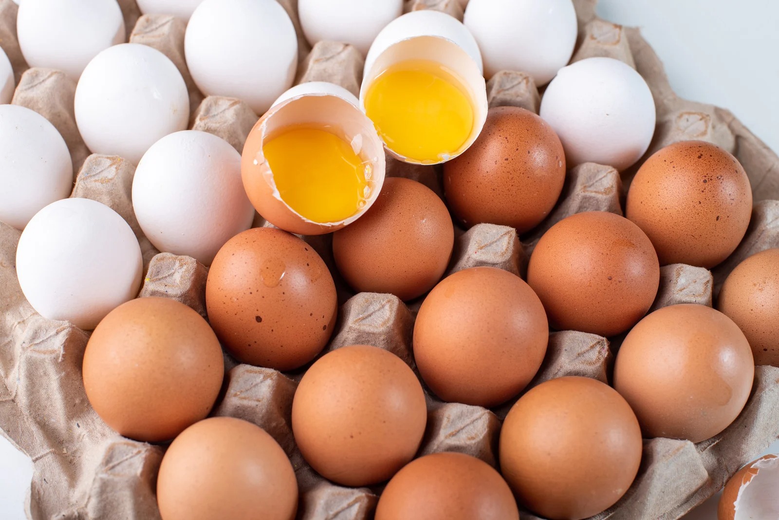 Сколько растет яйцо. Яйца куриные подделывают. Сухое цельное яйцо что это.
