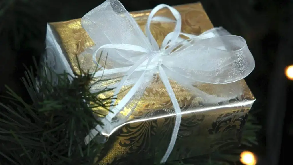 Рижская дума призывает рижан позаботиться о подарках для бездомных и малоимущих
