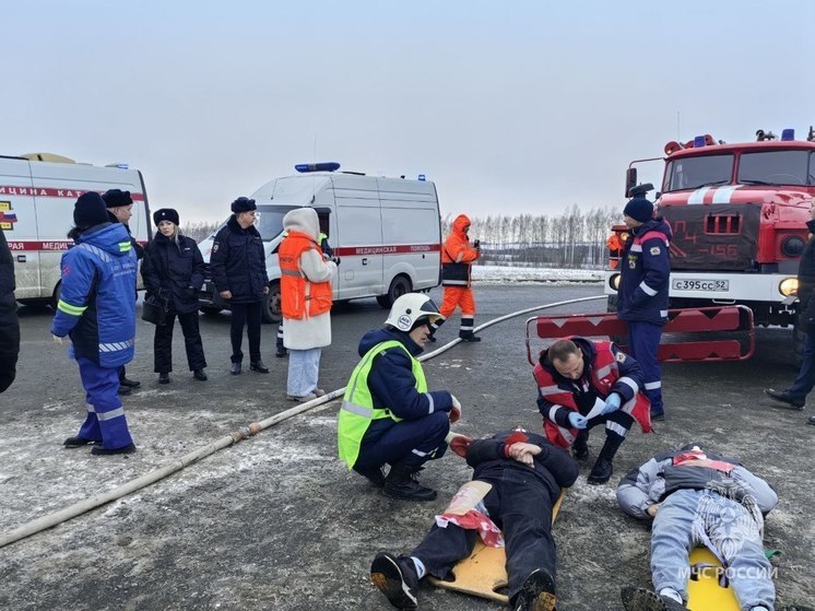 Шесть человек погибли на дорогах Нижегородской области за один вечер