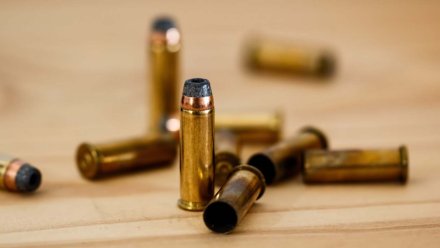 В воронежский суд поступило дело о расстреле 2 человек в терновском селе