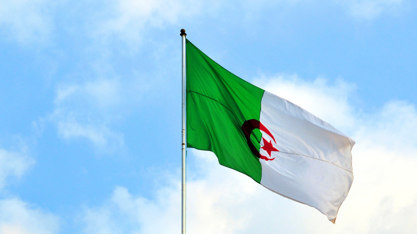 сборная швеции по футболу. чемпионат европы по футболу 2008. швеция алжир. сборная алжира по футболу последние матчи. сербия швеция 24 сентября.