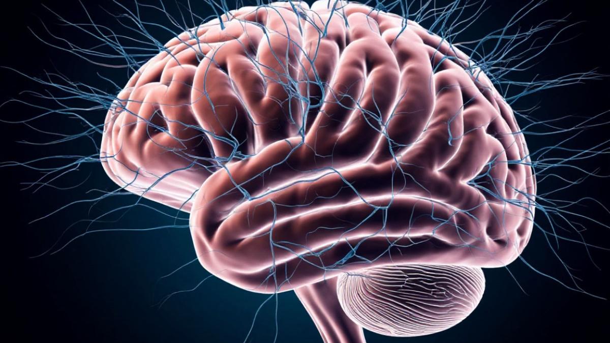 нейробиология