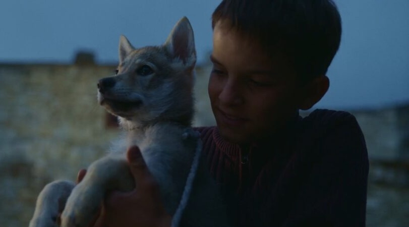 В День народного единства онлайн-кинотеатр START представит фильм «Абрек»