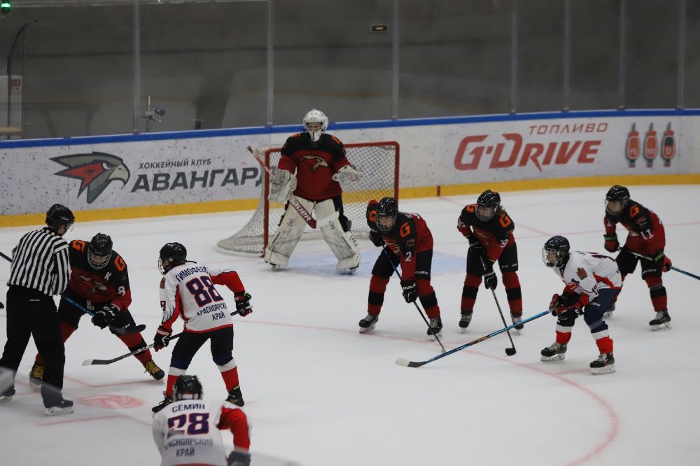 хоккей фото. сборная ссср по хоккею 1960 год. первый хк. хоккейные команды вхл. омский авангард 2008 состав.
