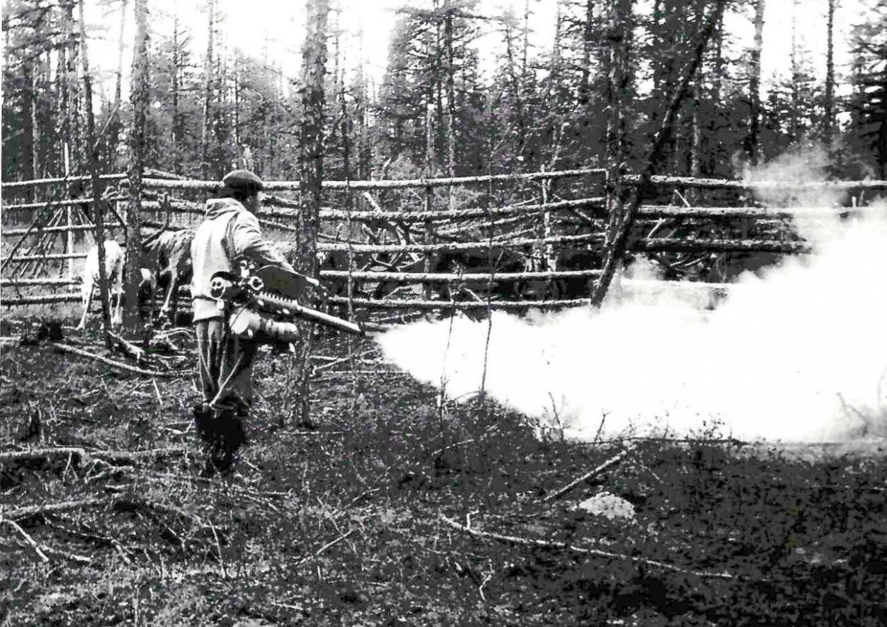 из личного архива Владимира Шейко