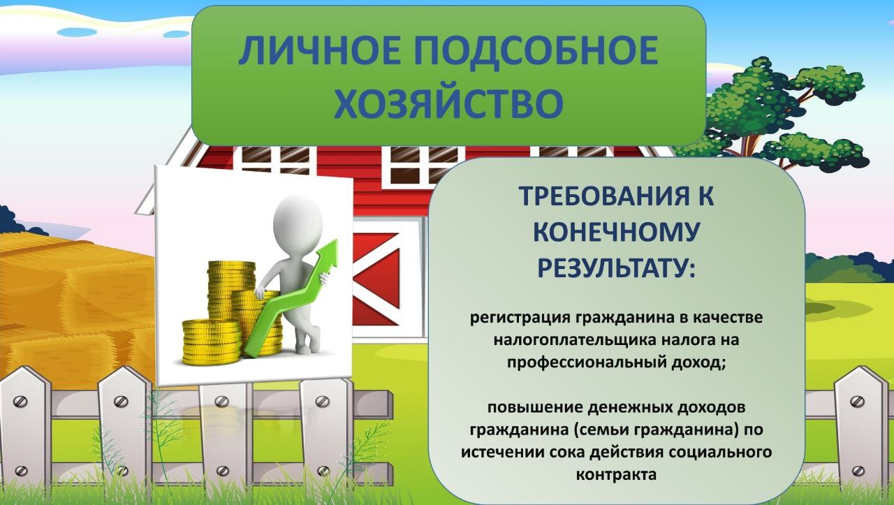 План развития личного подсобного хозяйства по форме утвержденной министерством семьи и труда рб