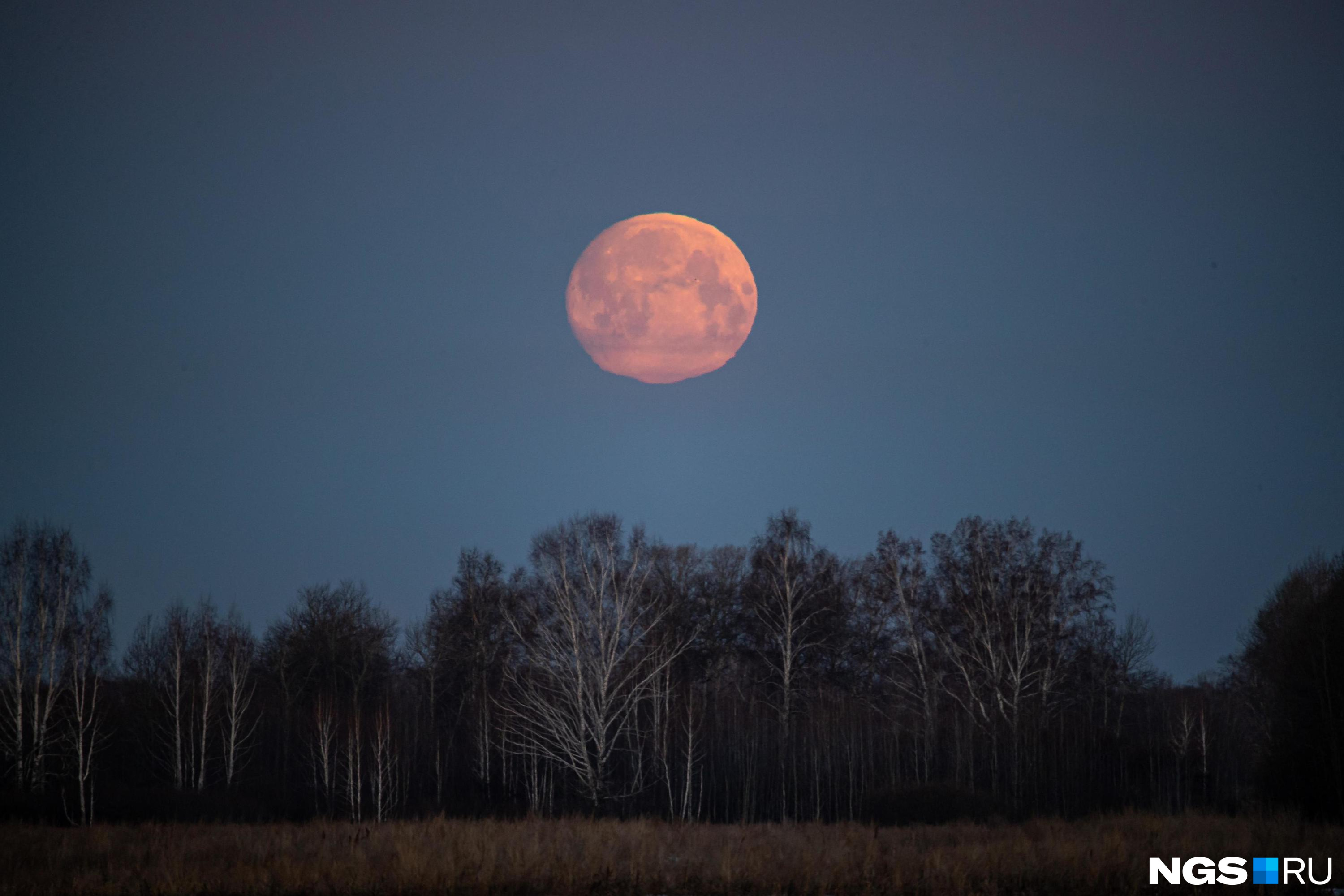 растущая луна. растущая луна. четыре фазы луны. 29 декабря 2023 лунный. какой сегодня лунный день.