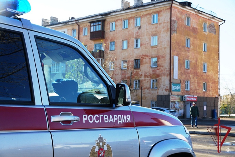 В Улан-Удэ сотрудники вневедомственной охраны задержали подозреваемую в краже