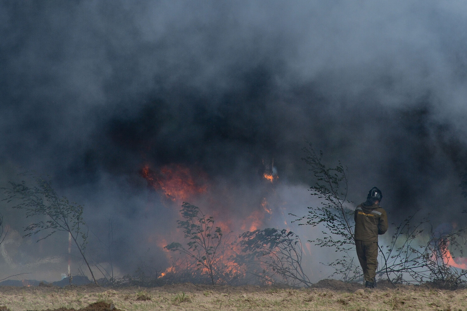 Лесоторфяные пожары подмосковья 2010. В каком году горели торфяники. Шатура торфяники 2010. Лесные и торфяные пожары. Лесоторфяные пожары подмосковья 2010.
