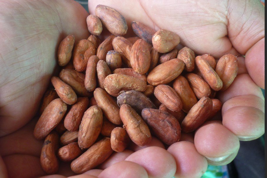 Аналитик Джоулс: Рекордное подорожание какао пока не спровоцировало падение спроса