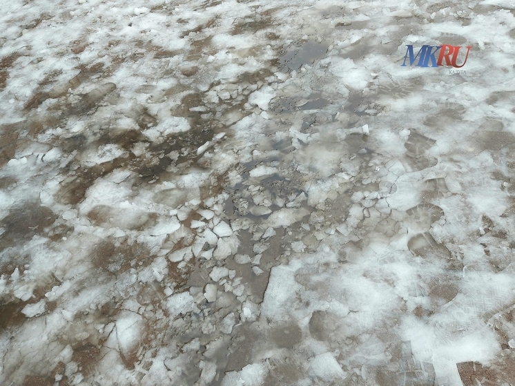 Калужских предпринимателей попросили вспомнить о лопатах