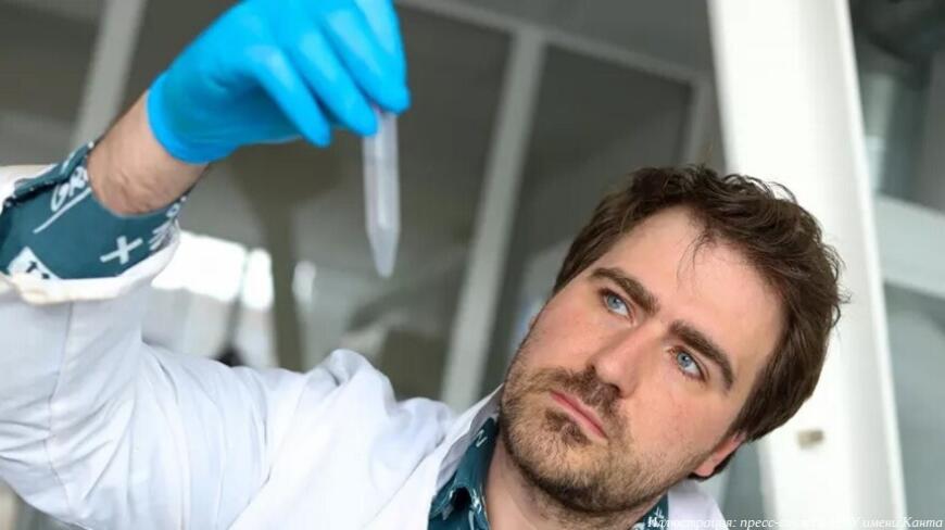 Ученые БФУ имени Канта разработали механизм создания умных материалов для медицинской 3D-печати