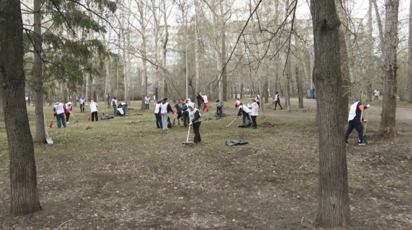 Грамоты получили школьники, которые помогали привести в порядок парк