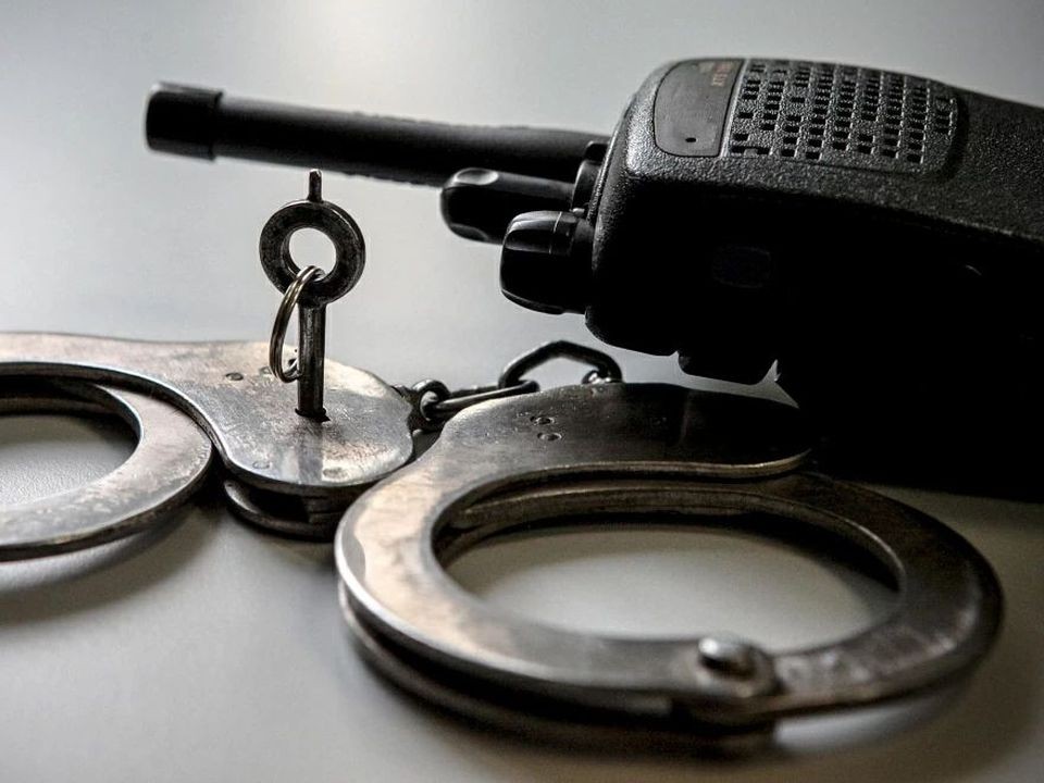 Насилие над спящей красавицей: иностранец арестован за действия сексуального характера в автобусе