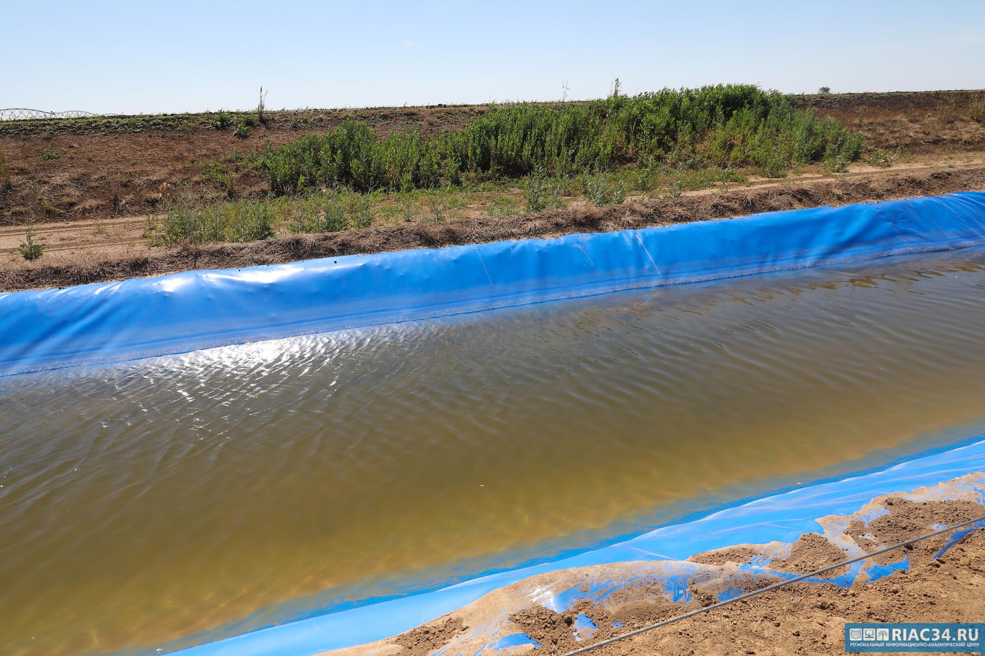Орошаемое ближе чем волгоград?. Орошаемый погода волгоградская область. Орошаемый погода волгоградская область. Орошаемый погода волгоградская область. Волгоградская опытно-мелиоративная станция.