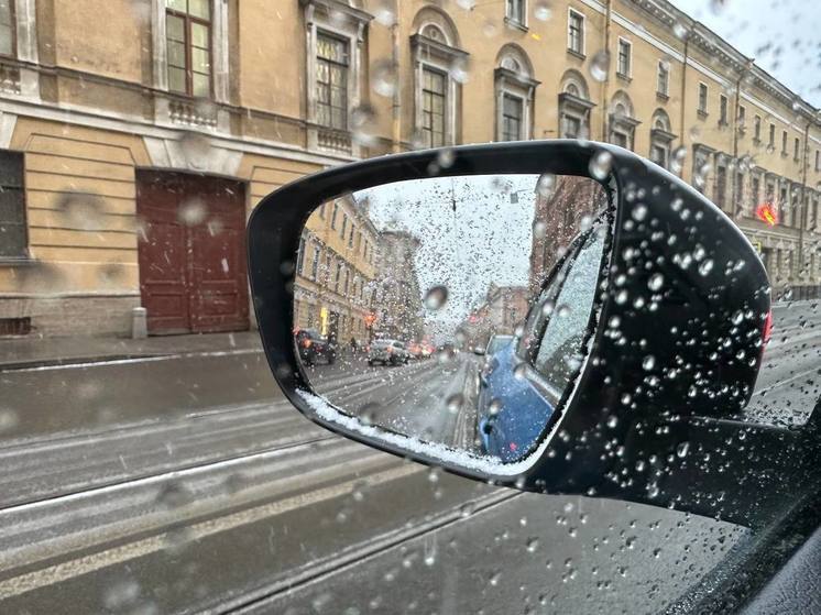Дожди и заморозки придут в Петербург в начале июня