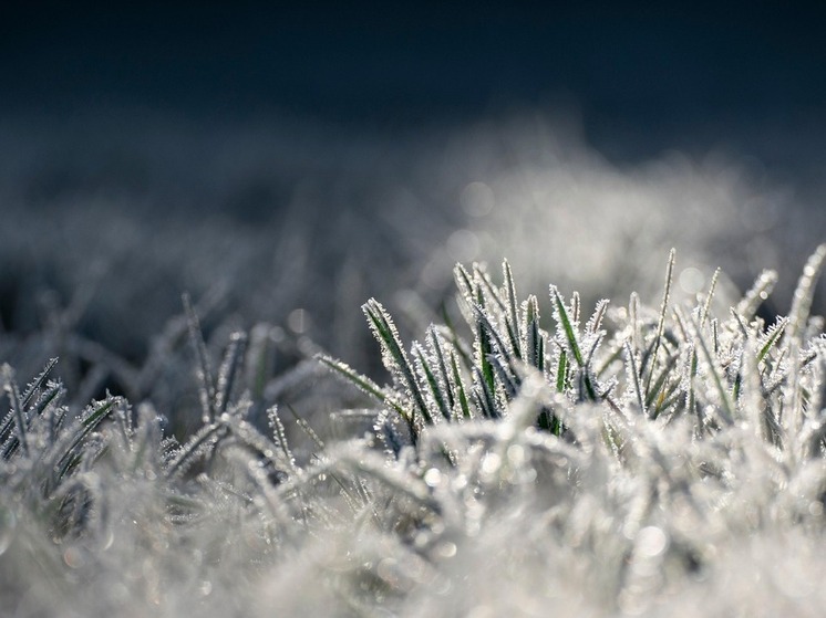 В Хабаровском крае прогнозируется морозная и ветреная погода