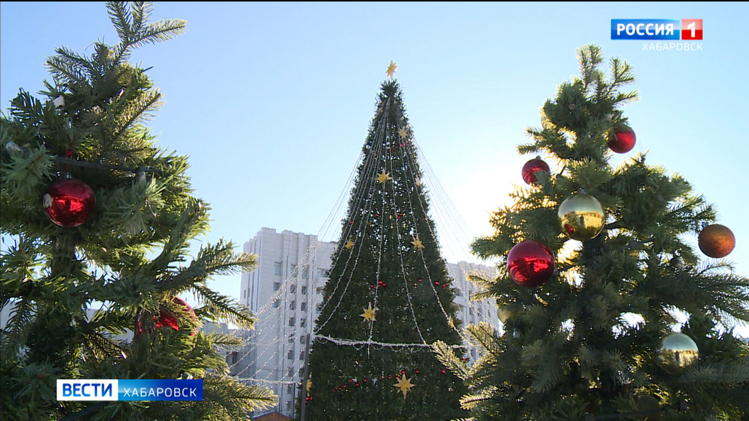 «Каждая игрушка на этих ёлках – самая лучшая»: в Хабаровске завершают подготовку новогодних городков