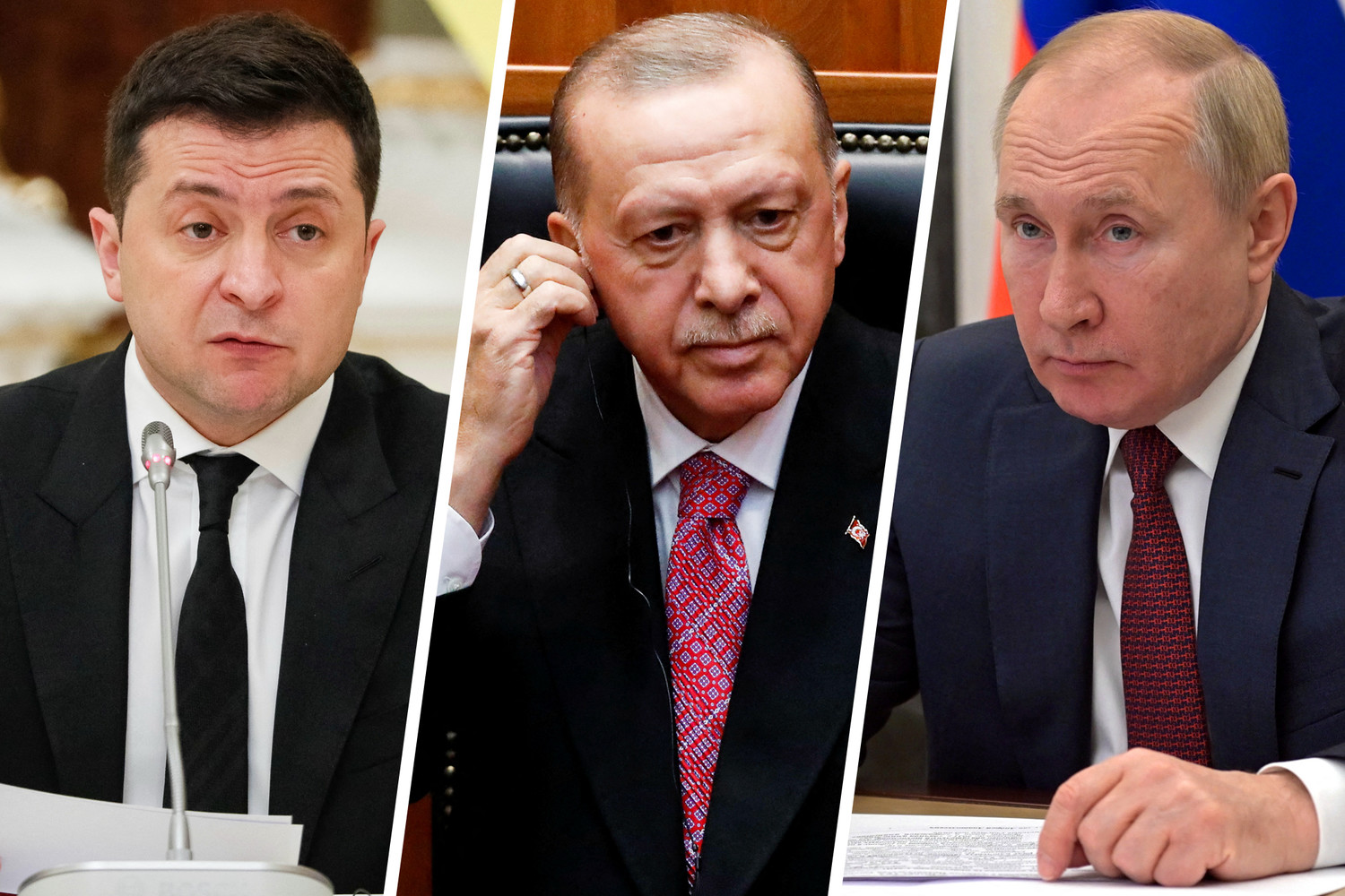 зеленский в турции