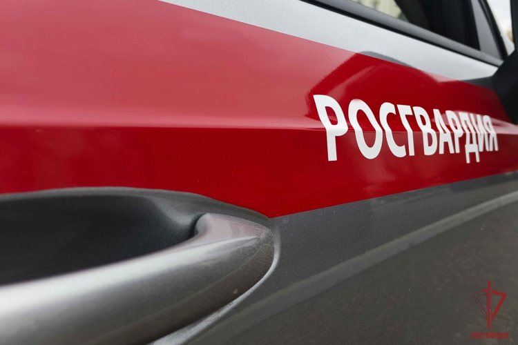 Росгвардейцы за неделю пресекли около 60 административных правонарушений в Туле